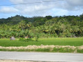 DSC 0521