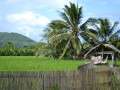 DSC 0522