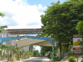 DSC 0110