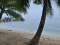 DSC 0670