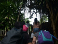 DSC 0704