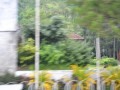 DSC 0800
