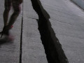 946399 604224819641675 1123975104 n