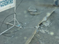 P1000919