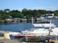 DSC 0230