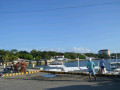 DSC 0239