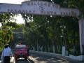 DSC 0246