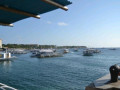 DSC 0336