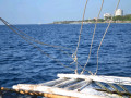 DSC 0356