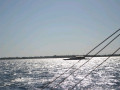DSC 0364