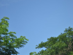 DSC 0021