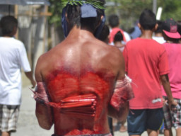 DSC 0024