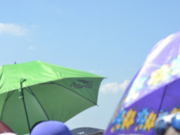 DSC 0072
