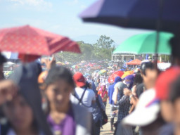 DSC 0085