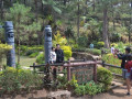 DSC 0524