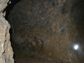 DSC 0530