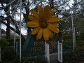 DSC 0752