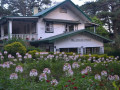 DSC 0754