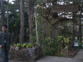 DSC 0758