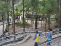 DSC 0537