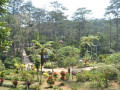 DSC 0539