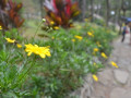 DSC 0544