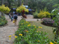 DSC 0546