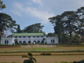 DSC 0585
