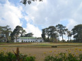 DSC 0600
