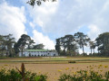 DSC 0601