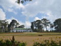 DSC 0604