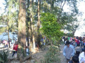 DSC 0677