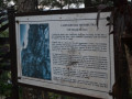 DSC 0759