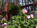 DSC 0562