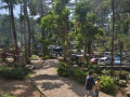 DSC 0564