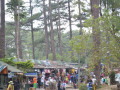 DSC 0581