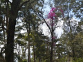 DSC 0582