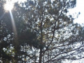 DSC 0584