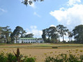 DSC 0617
