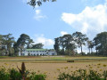 DSC 0618