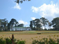 DSC 0619
