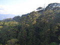 DSC 0688