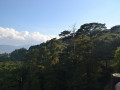 DSC 0692