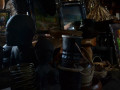 DSC 0707