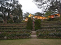DSC 0792