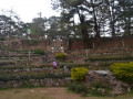 DSC 0794