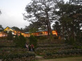 DSC 0798