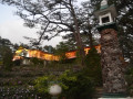 DSC 0799