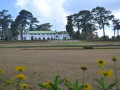 DSC 0639