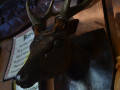 DSC 0716
